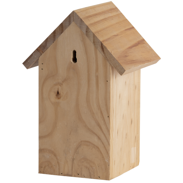 Nesting box blue tit silhouette