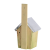 Nistkastenzaunkönig