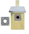Protection plate for great tit birdhouse