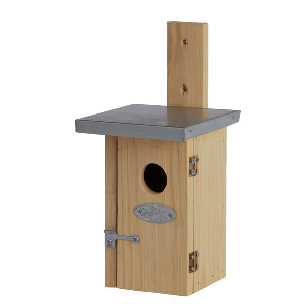 Wren birdhouse wood