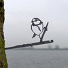 Birdwise - Blue Tit