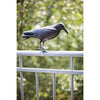 Esschert design - Vogelverschrikker Kraai