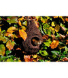 Robin birdhouse