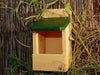 Bird Protection Nest Box Kansas