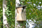 Holle Vogelhuisje Simon