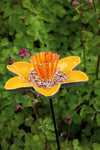 Narcissus Bird Feeder 