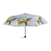 Foldable umbrella assortment