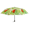 Foldable umbrella assortment