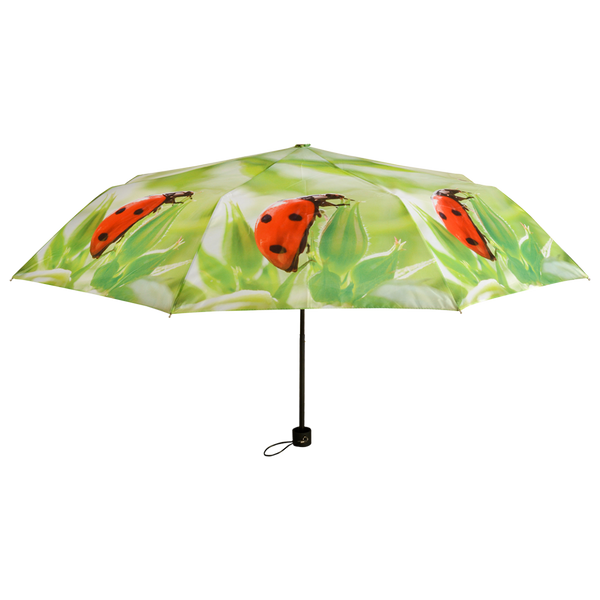 Taschenschirm-Sortiment