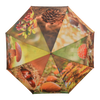 Umbrella autumn print