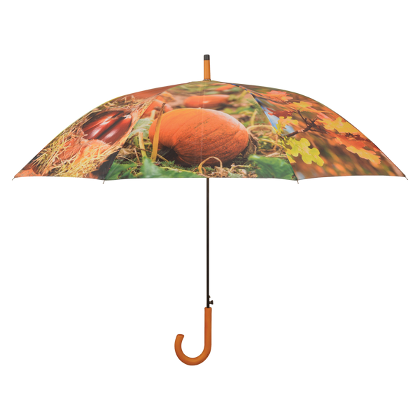 Umbrella autumn print