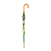 Regenschirmblumen
