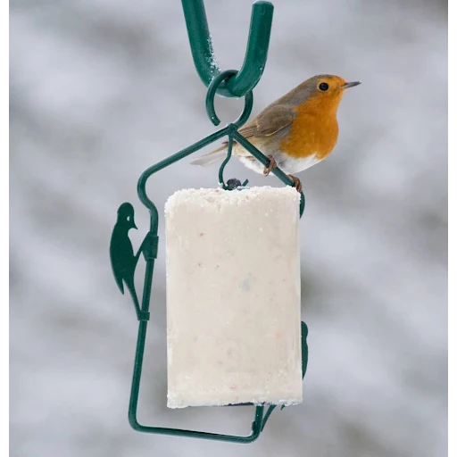 Pindacakehanger Hongkong