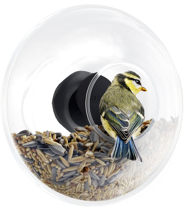 Raamvoederhuisje glas groot