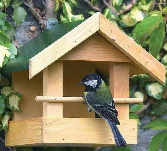 Bird Protection - Birdhouse Memphis 