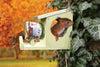 Squirrel peanut butter bird feeder