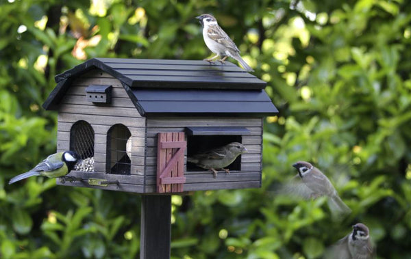 Foderlada braunes Scheunen-Vogelhäuschen
