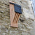 Vincent Pro vleermuizen huis