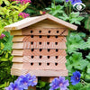 Einsamer Bienenstock