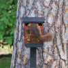 Ekorrmatare rood eekhoornkastje