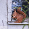 DecoBird - Rode eekhoorn