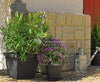 WALL rain barrel 300 lt sand beige 