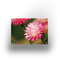 Tuinposter - Pink flower - 100x70cm
