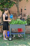 Planttafel Urban Trolley antraciet
