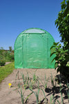 Slim Kweken - Green Rocket Galva