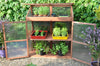 Roy Well - Sweet Basil