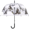 Paraplu transparant 2 zijdig vogel