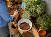ClickUp! Planter