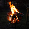 Tulip fire basket