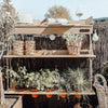Hanging Garden Ivory Gray Wash