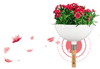 ClickUp! Planter
