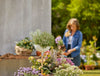 ClickUp! Planter