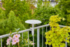 ClickUp! BirdBath