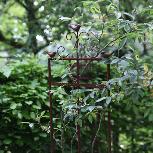 Plantensteun  vogel S
