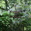 Plant support bird S