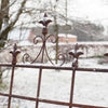 Plantensteun Franse lelie L