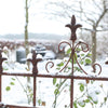 Plantensteun Franse lelie L