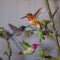 DecoBird Rufous Kolibrie