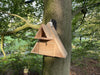 CaptureWILD - Little Owl