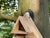 CaptureWILD - Little Owl