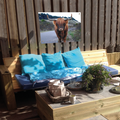 Tuinposter - Schotse hooglander koe - 100x70cm