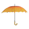 Paraplu bloemen