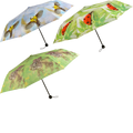 Opvouwbare paraplu assorti