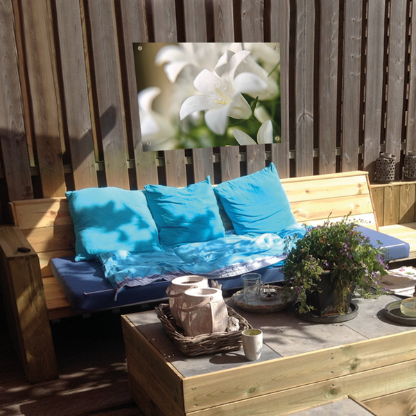 Garden poster - White flower - 100x70cm