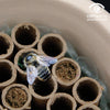 'Flowers love Bees' Pollinator House